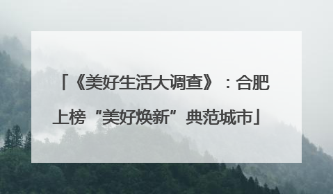 《美好生活大调查》：合肥上榜“美好焕新”典范城市