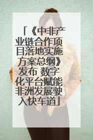 《中非产业链合作项目落地实施方案总纲》发布 数字化平台赋能非洲发展驶入快车道