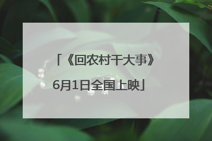 《回农村干大事》6月1日全国上映