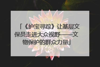 《护宝寻踪》让基层文保员走进大众视野——文物保护的群众力量