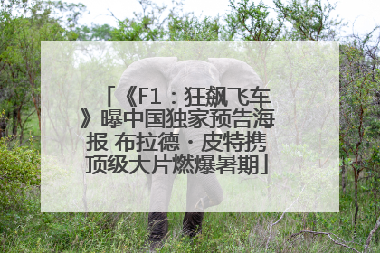 《F1：狂飙飞车》曝中国独家预告海报 布拉德・皮特携顶级大片燃爆暑期