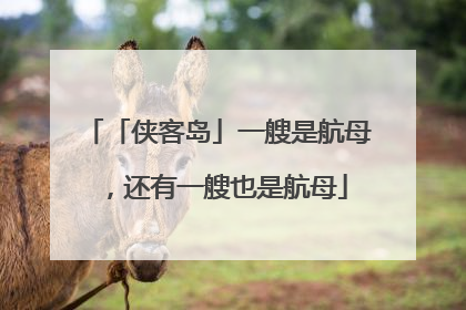 「侠客岛」一艘是航母，还有一艘也是航母