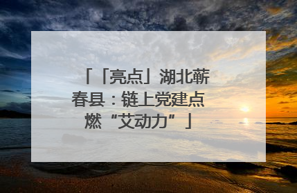 「亮点」湖北蕲春县：链上党建点燃“艾动力”
