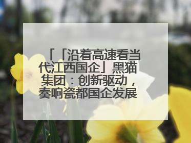 「沿着高速看当代江西国企」黑猫集团：创新驱动，奏响瓷都国企发展新乐章