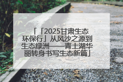 「2025甘肃生态环保行」从风沙之源到生态绿洲——青土湖华丽转身书写生态新篇