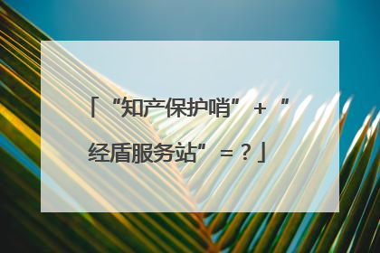 “知产保护哨”+“经盾服务站”=？