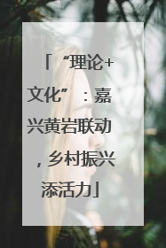 “理论+文化”：嘉兴黄岩联动，乡村振兴添活力