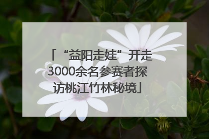 “益阳走娃”开走 3000余名参赛者探访桃江竹林秘境