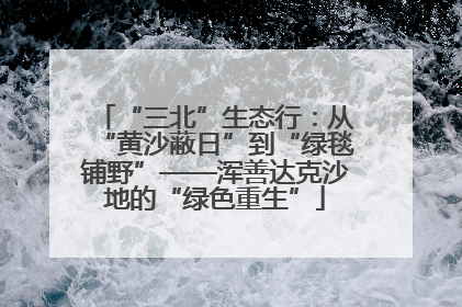 “三北”生态行：从“黄沙蔽日”到“绿毯铺野”——浑善达克沙地的“绿色重生”