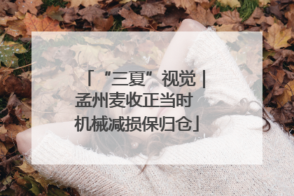 “三夏”视觉｜孟州麦收正当时 机械减损保归仓