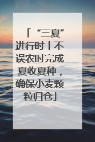 “三夏”进行时丨不误农时完成夏收夏种，确保小麦颗粒归仓