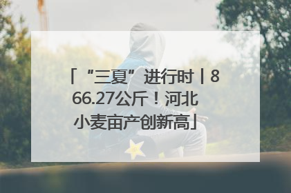“三夏”进行时丨866.27公斤！河北小麦亩产创新高