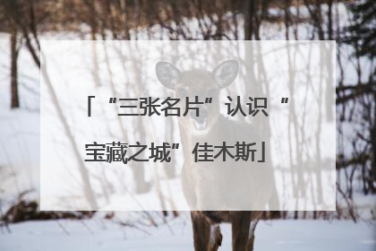 “三张名片”认识“宝藏之城”佳木斯