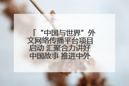 “中国与世界”外文网络传播平台项目启动 汇聚合力讲好中国故事 推进中外文明交流互鉴