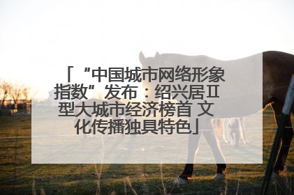 “中国城市网络形象指数”发布：绍兴居Ⅱ型大城市经济榜首 文化传播独具特色