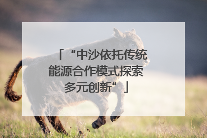 “中沙依托传统能源合作模式探索多元创新”