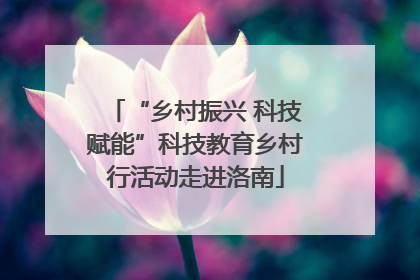 “乡村振兴 科技赋能”科技教育乡村行活动走进洛南