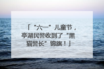 “六一”儿童节，亭湖民警收到了“黑猫警长”锦旗！