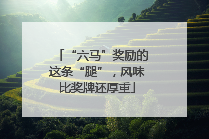 “六马”奖励的这条“腿”，风味比奖牌还厚重