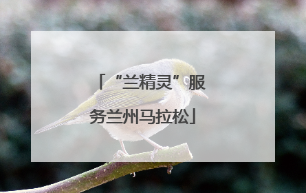 “兰精灵”服务兰州马拉松