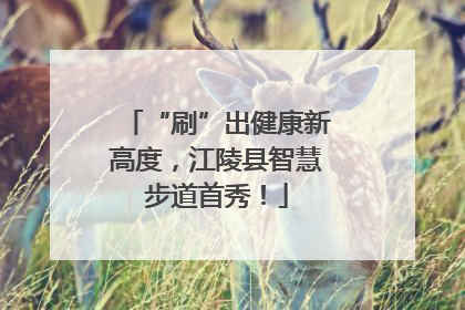 “刷”出健康新高度，江陵县智慧步道首秀！