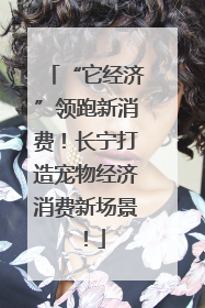 “它经济”领跑新消费！长宁打造宠物经济消费新场景！