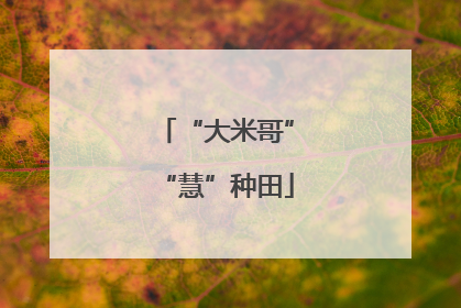 “大米哥”“慧”种田