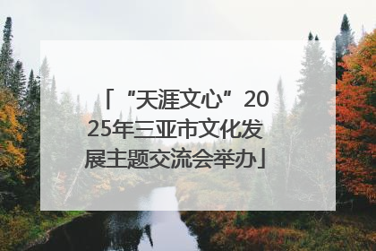 “天涯文心”2025年三亚市文化发展主题交流会举办