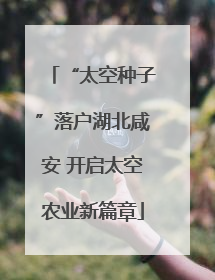 “太空种子”落户湖北咸安 开启太空农业新篇章