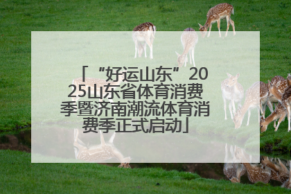 “好运山东”2025山东省体育消费季暨济南潮流体育消费季正式启动