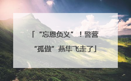 “忘恩负义”！警营“孤傲”燕隼飞走了