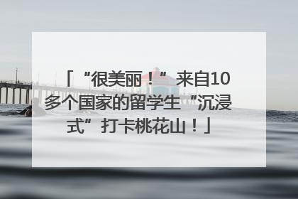 “很美丽！”来自10多个国家的留学生“沉浸式”打卡桃花山！