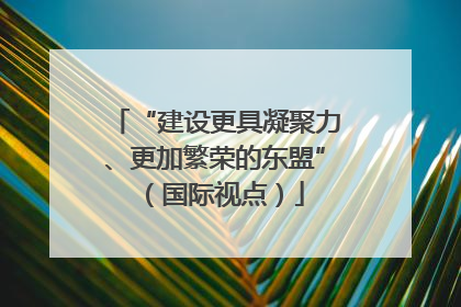 “建设更具凝聚力、更加繁荣的东盟”（国际视点）