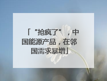 “抢疯了”，中国能源产品，在邻国需求暴增
