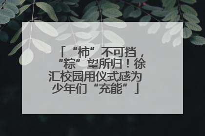 “柿”不可挡，“粽”望所归！徐汇校园用仪式感为少年们“充能”