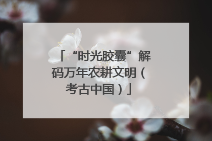 “时光胶囊”解码万年农耕文明（考古中国）