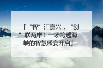 “智”汇嘉兴，“创”联两岸！一场跨越海峡的智慧盛宴开启