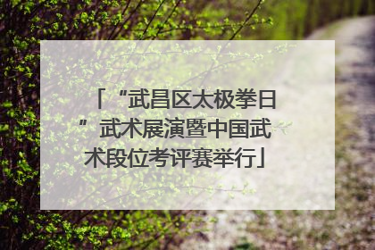 “武昌区太极拳日”武术展演暨中国武术段位考评赛举行