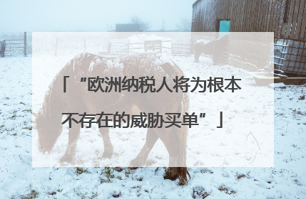 “欧洲纳税人将为根本不存在的威胁买单”