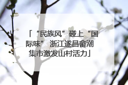“民族风”碰上“国际味” 浙江遂昌畲潮集市激发山村活力