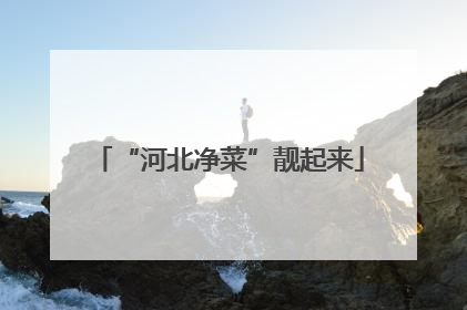 “河北净菜”靓起来