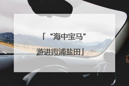 “海中宝马”游进霞浦盐田