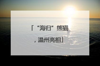 “海归”熊猫，温州亮相