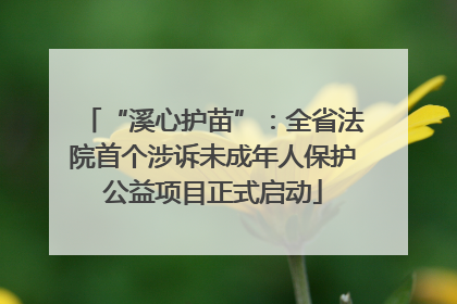 “溪心护苗”：全省法院首个涉诉未成年人保护公益项目正式启动