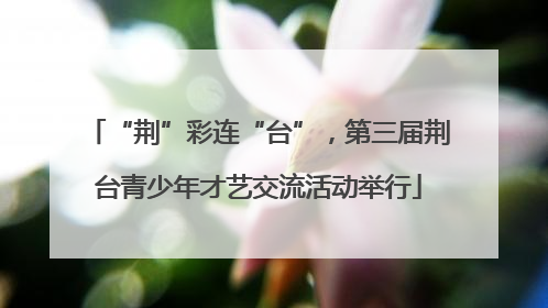 “荆”彩连“台”，第三届荆台青少年才艺交流活动举行