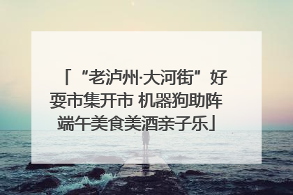 “老泸州·大河街”好耍市集开市 机器狗助阵端午美食美酒亲子乐