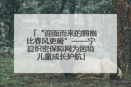 “迎面而来的拥抱比春风更暖”——宁夏织密保障网为困境儿童成长护航