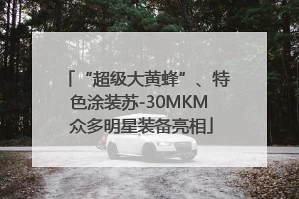 “超级大黄蜂”、特色涂装苏-30MKM 众多明星装备亮相