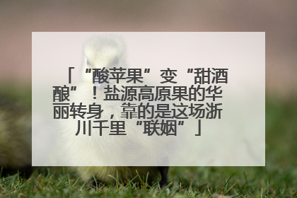 “酸苹果”变“甜酒酿”！盐源高原果的华丽转身，靠的是这场浙川千里“联姻”