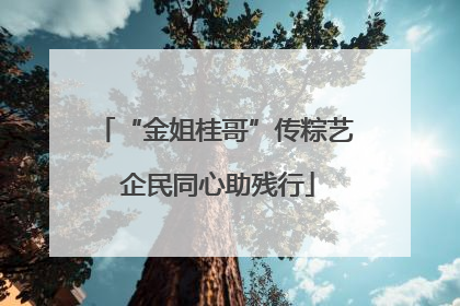 “金姐桂哥”传粽艺 企民同心助残行